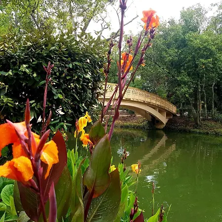 Cantinho Do Auka - Homestay Aveiro