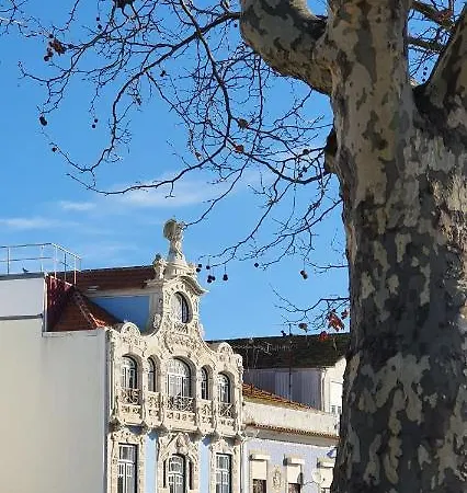 Cantinho Do Auka - *