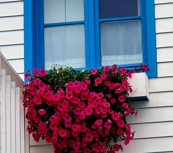 Cantinho Do Auka - Aveiro