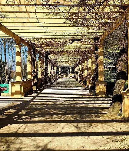 Cantinho Do Auka - * アヴェイロ